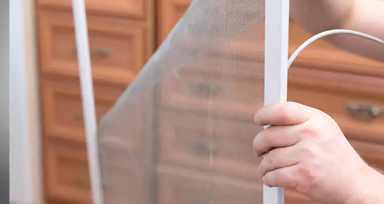 Privacy Mesh Screen Door Installation in The Villages, FL