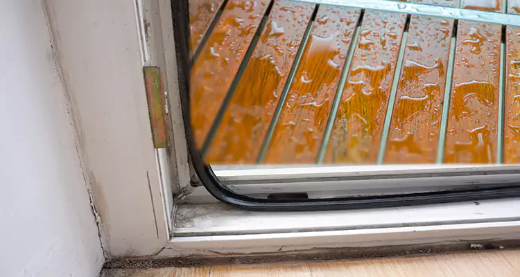 Water Leaking Wooden Patio Doors Repair in The Villages, FL